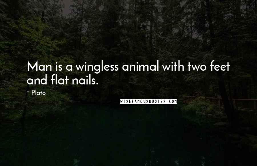 Plato Quotes: Man is a wingless animal with two feet and flat nails.