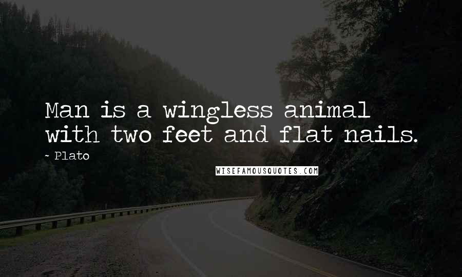 Plato Quotes: Man is a wingless animal with two feet and flat nails.