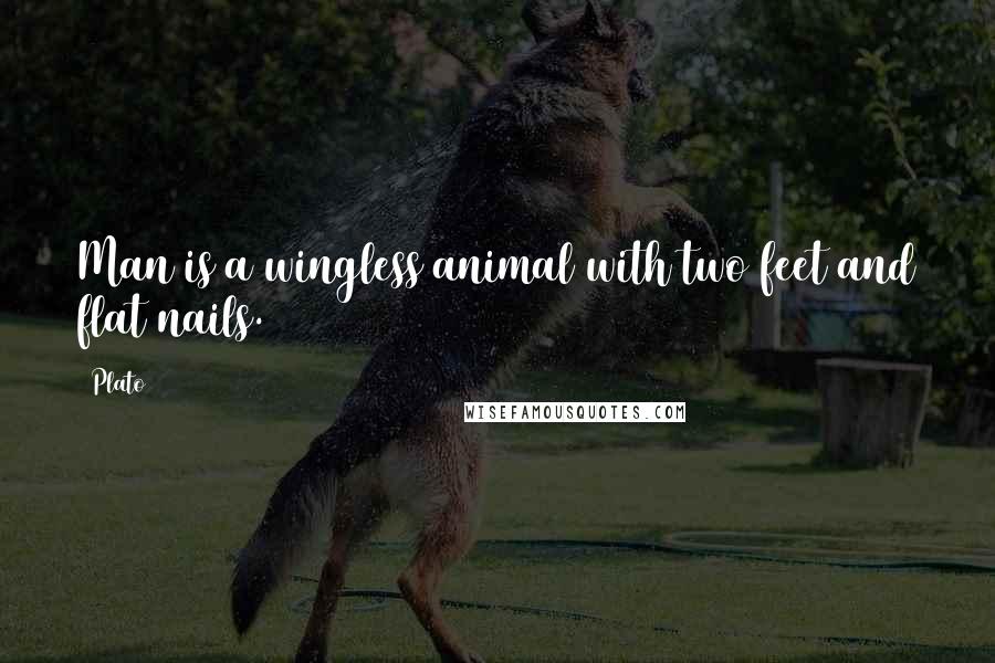 Plato Quotes: Man is a wingless animal with two feet and flat nails.