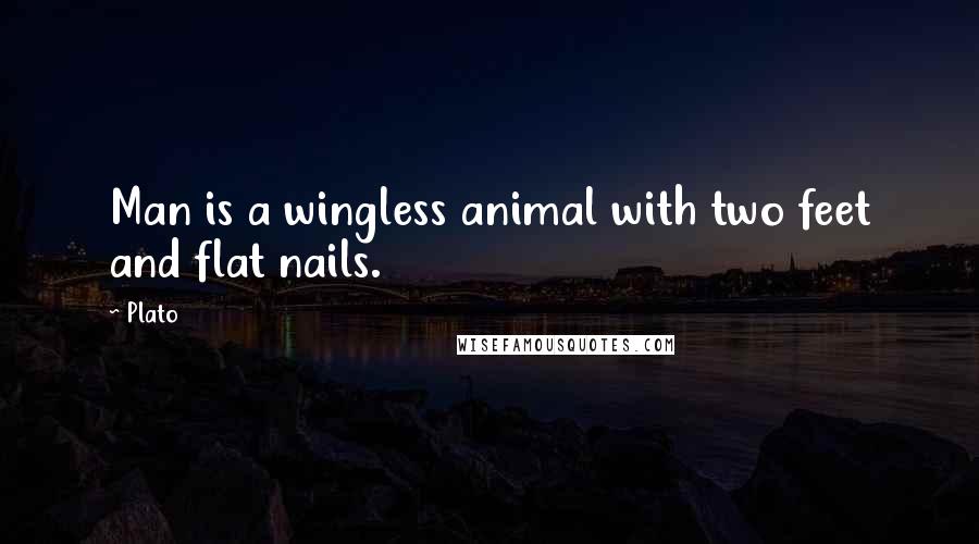Plato Quotes: Man is a wingless animal with two feet and flat nails.