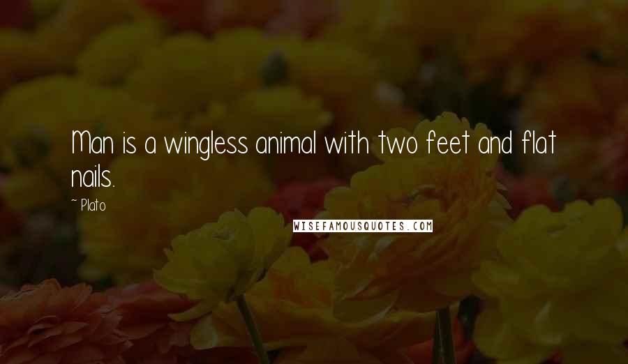 Plato Quotes: Man is a wingless animal with two feet and flat nails.