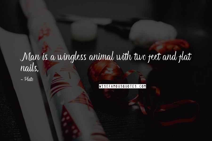 Plato Quotes: Man is a wingless animal with two feet and flat nails.