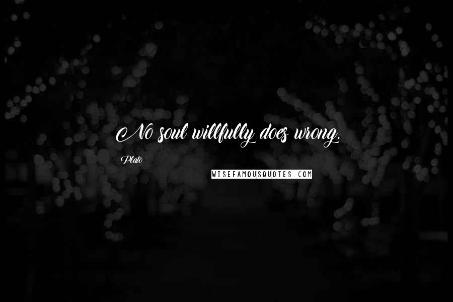 Plato Quotes: No soul willfully does wrong.