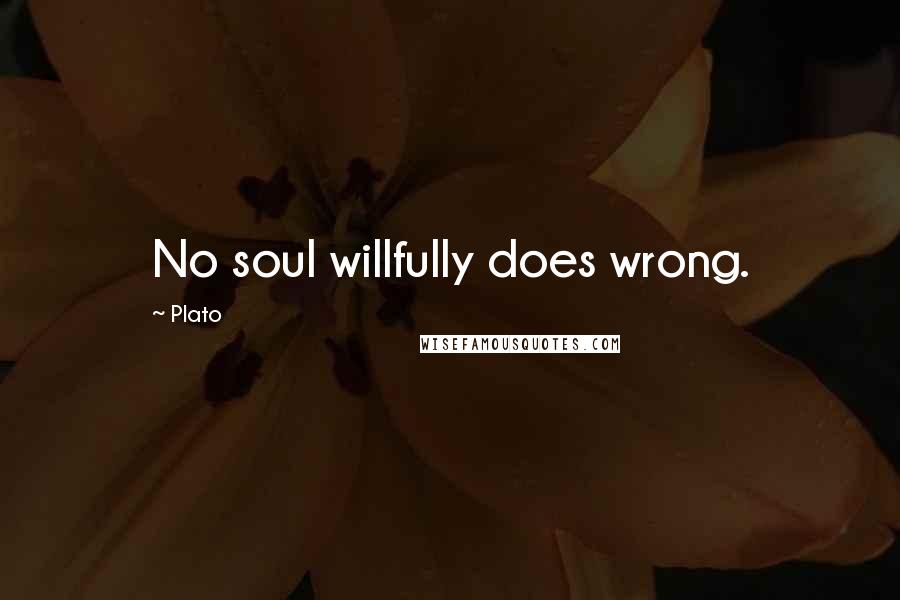 Plato Quotes: No soul willfully does wrong.