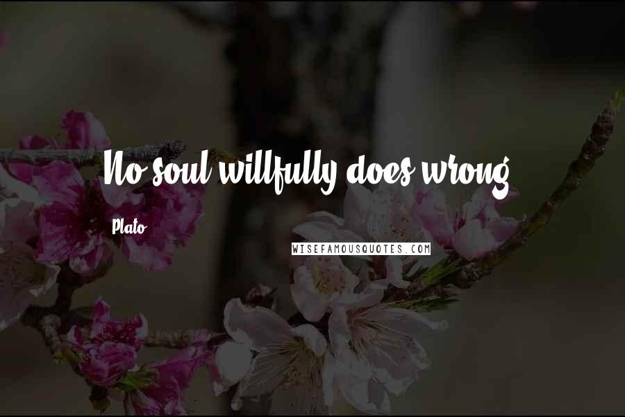 Plato Quotes: No soul willfully does wrong.