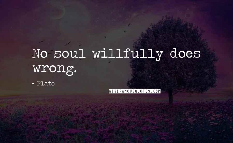 Plato Quotes: No soul willfully does wrong.