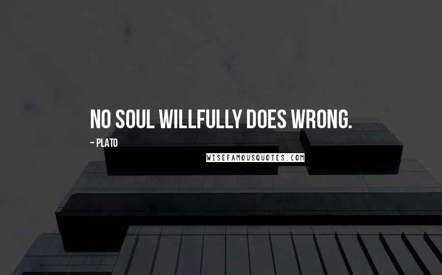 Plato Quotes: No soul willfully does wrong.