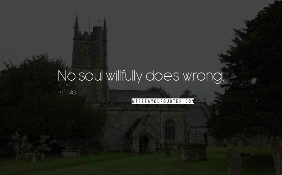 Plato Quotes: No soul willfully does wrong.