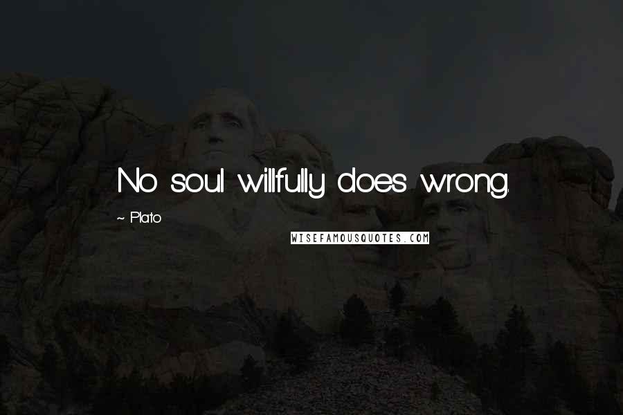 Plato Quotes: No soul willfully does wrong.