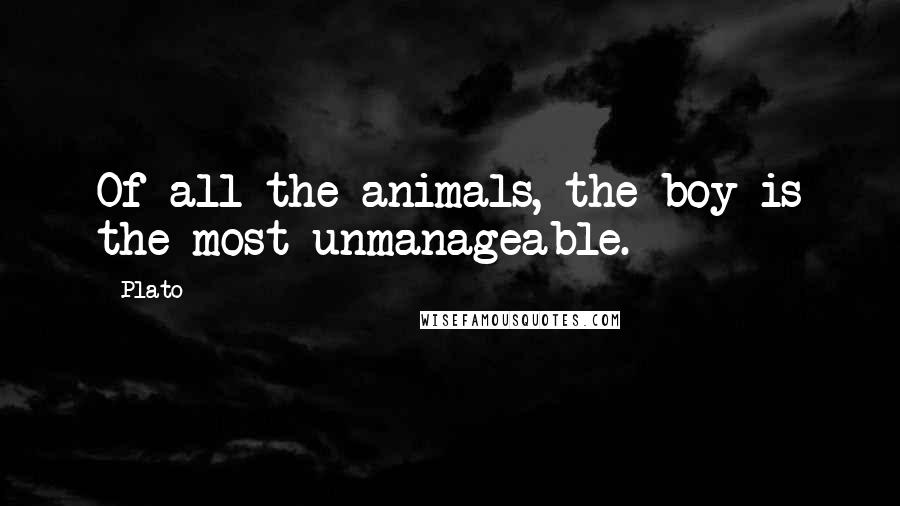 Plato Quotes: Of all the animals, the boy is the most unmanageable.