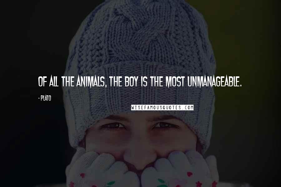 Plato Quotes: Of all the animals, the boy is the most unmanageable.