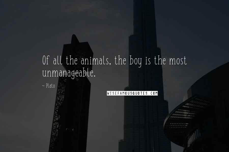 Plato Quotes: Of all the animals, the boy is the most unmanageable.