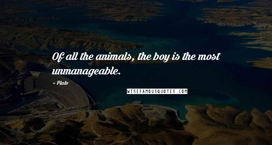 Plato Quotes: Of all the animals, the boy is the most unmanageable.