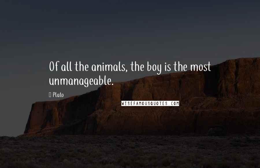 Plato Quotes: Of all the animals, the boy is the most unmanageable.