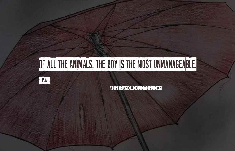 Plato Quotes: Of all the animals, the boy is the most unmanageable.