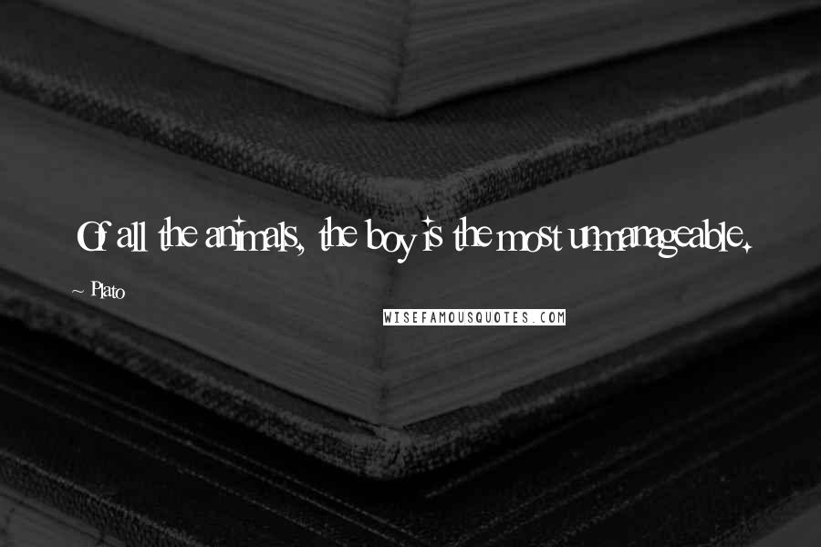 Plato Quotes: Of all the animals, the boy is the most unmanageable.