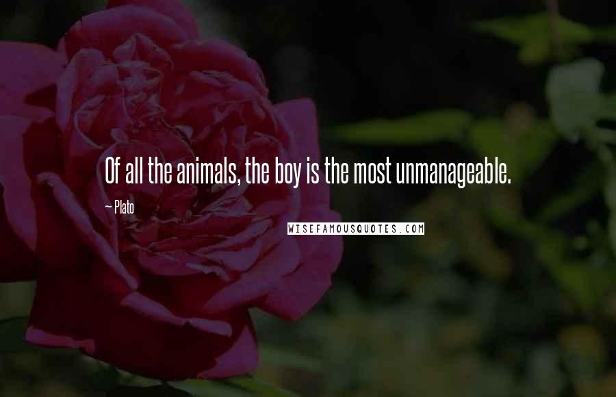 Plato Quotes: Of all the animals, the boy is the most unmanageable.