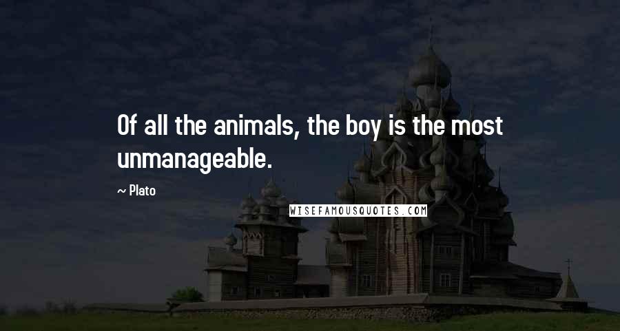 Plato Quotes: Of all the animals, the boy is the most unmanageable.