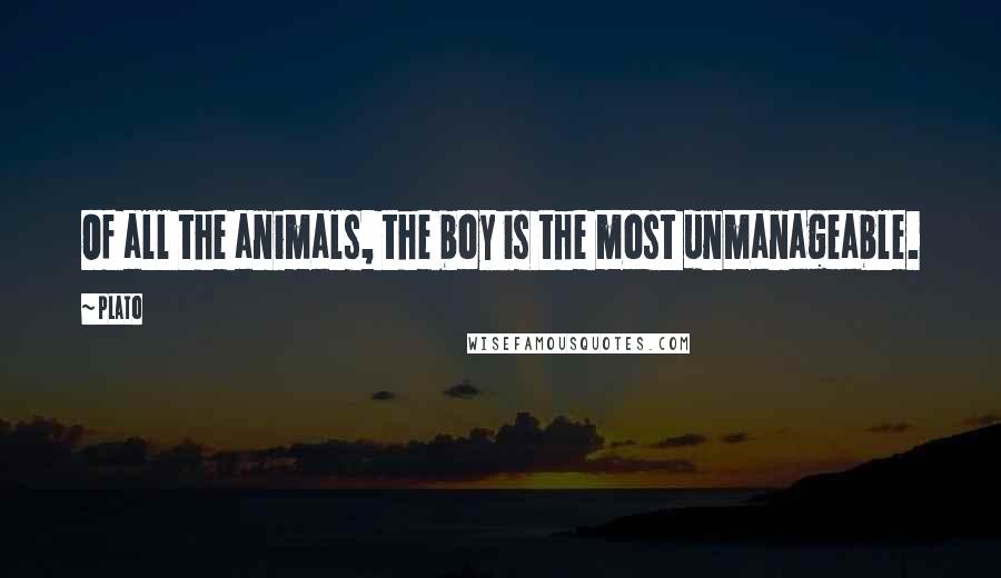 Plato Quotes: Of all the animals, the boy is the most unmanageable.