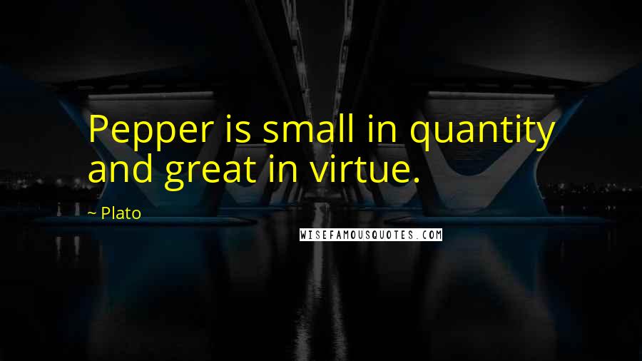 Plato Quotes: Pepper is small in quantity and great in virtue.