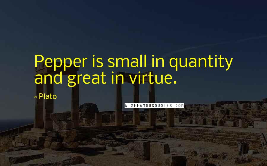 Plato Quotes: Pepper is small in quantity and great in virtue.