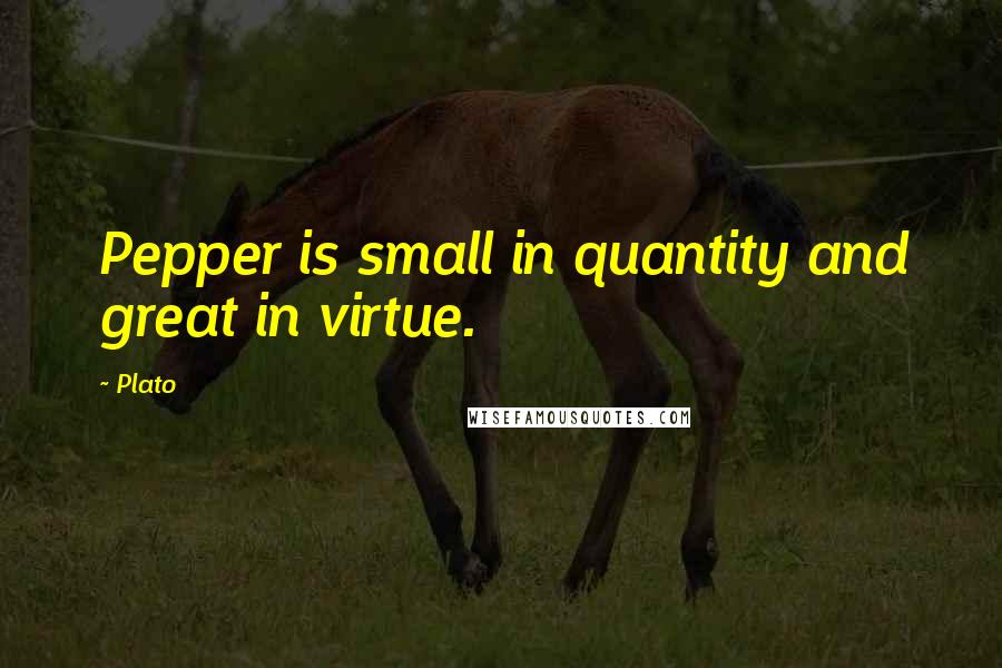 Plato Quotes: Pepper is small in quantity and great in virtue.
