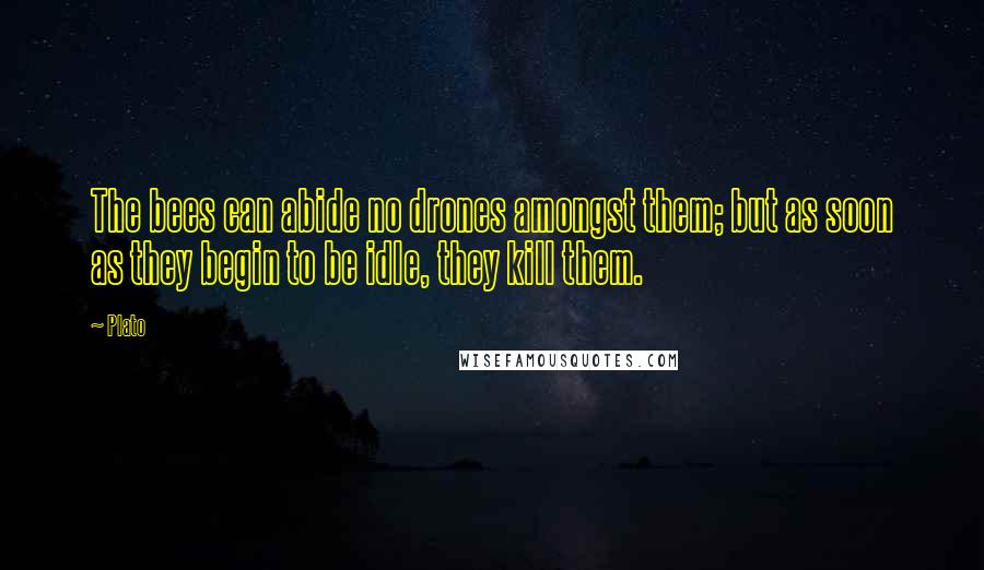 Plato Quotes: The bees can abide no drones amongst them; but as soon as they begin to be idle, they kill them.