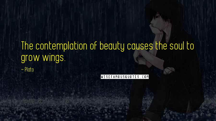 Plato Quotes: The contemplation of beauty causes the soul to grow wings.