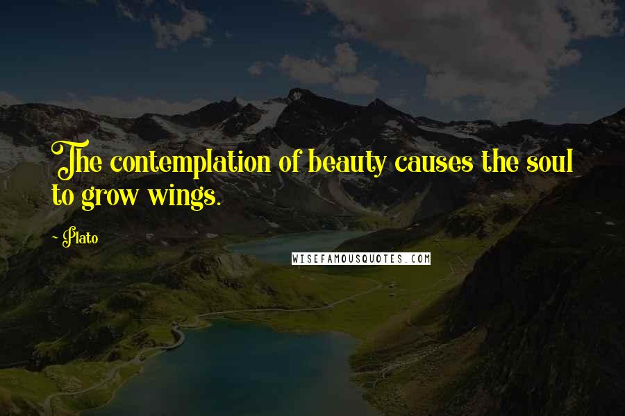 Plato Quotes: The contemplation of beauty causes the soul to grow wings.