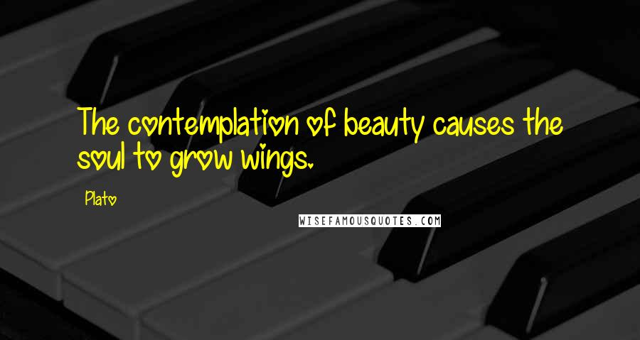 Plato Quotes: The contemplation of beauty causes the soul to grow wings.