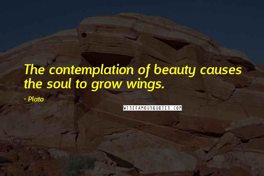 Plato Quotes: The contemplation of beauty causes the soul to grow wings.