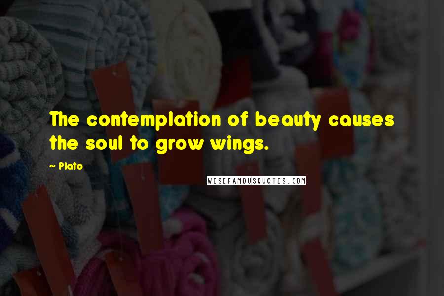 Plato Quotes: The contemplation of beauty causes the soul to grow wings.