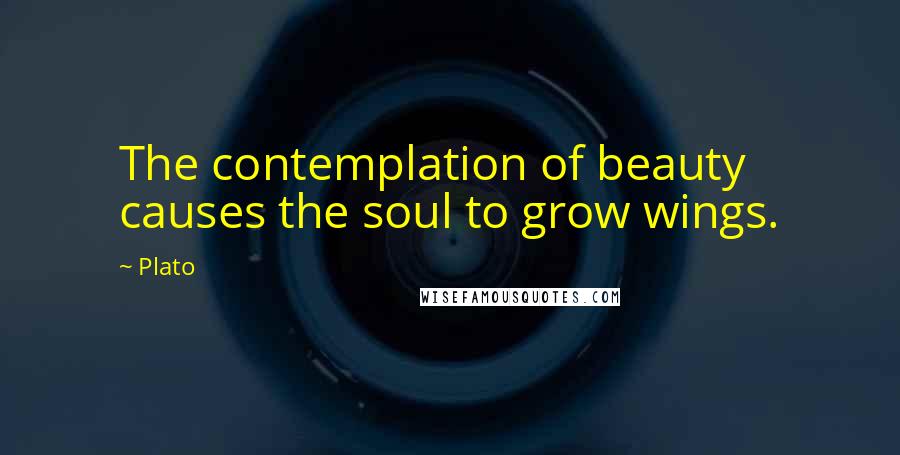 Plato Quotes: The contemplation of beauty causes the soul to grow wings.