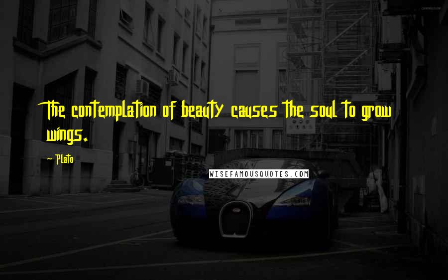 Plato Quotes: The contemplation of beauty causes the soul to grow wings.