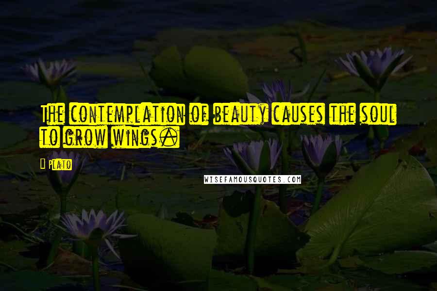 Plato Quotes: The contemplation of beauty causes the soul to grow wings.