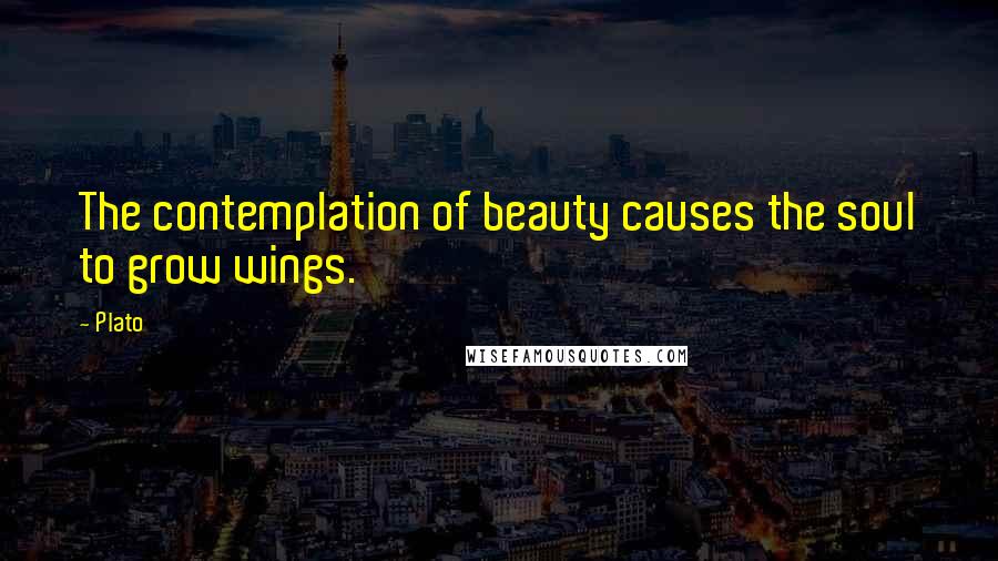 Plato Quotes: The contemplation of beauty causes the soul to grow wings.