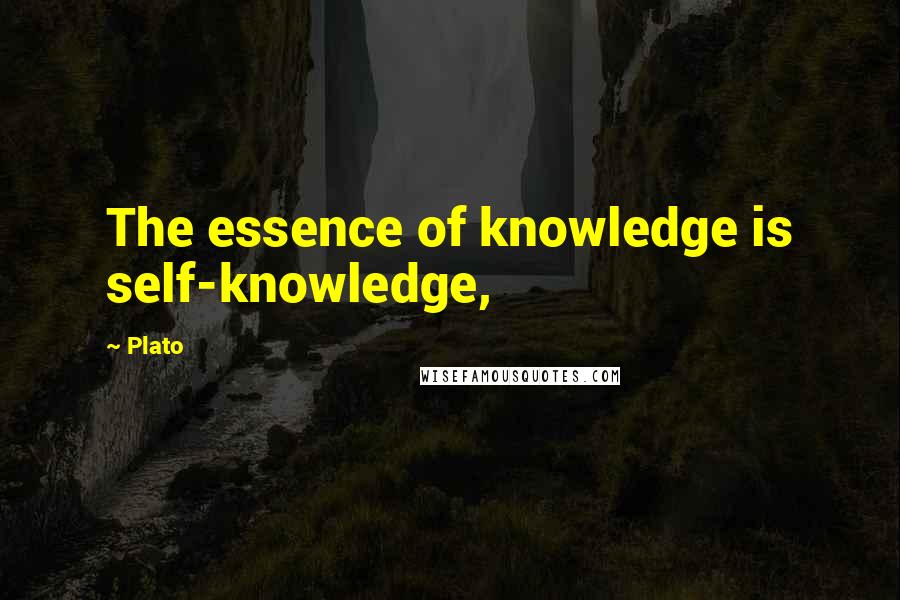 Plato Quotes: The essence of knowledge is self-knowledge,