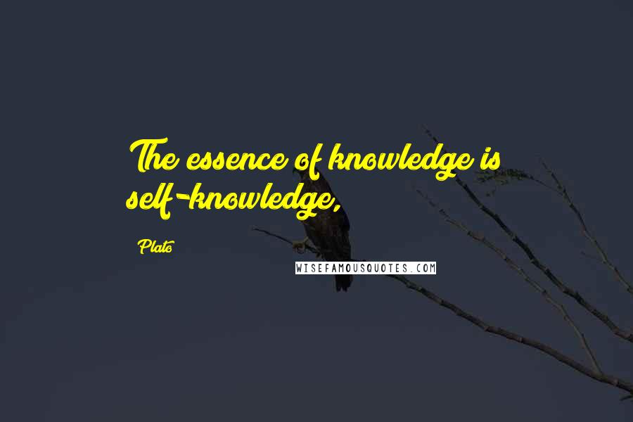 Plato Quotes: The essence of knowledge is self-knowledge,