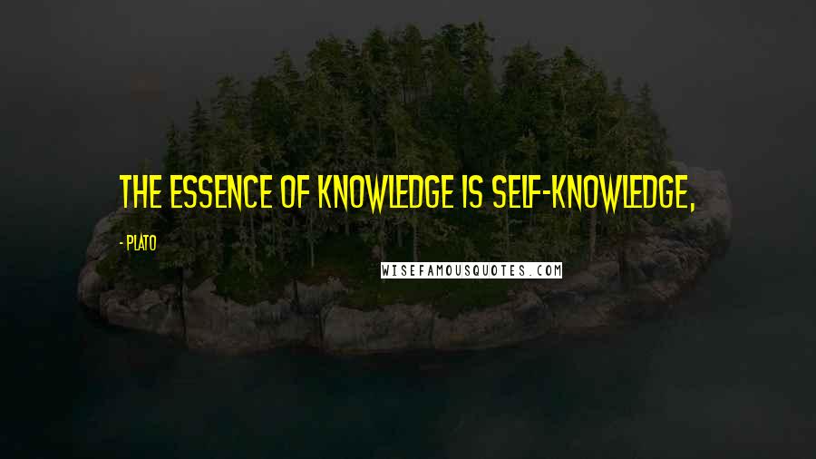 Plato Quotes: The essence of knowledge is self-knowledge,
