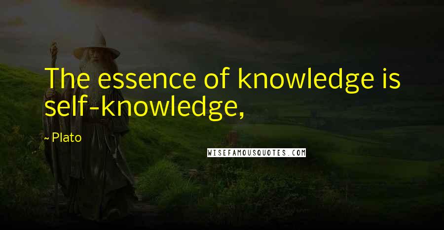 Plato Quotes: The essence of knowledge is self-knowledge,