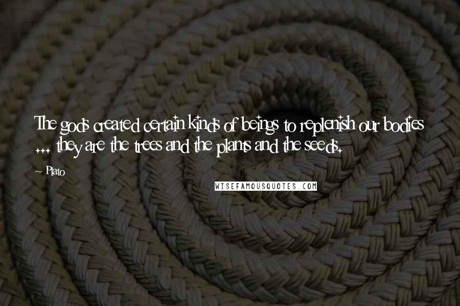 Plato Quotes: The gods created certain kinds of beings to replenish our bodies ... they are the trees and the plants and the seeds.