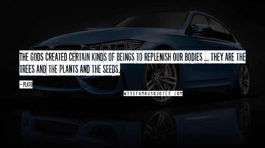 Plato Quotes: The gods created certain kinds of beings to replenish our bodies ... they are the trees and the plants and the seeds.