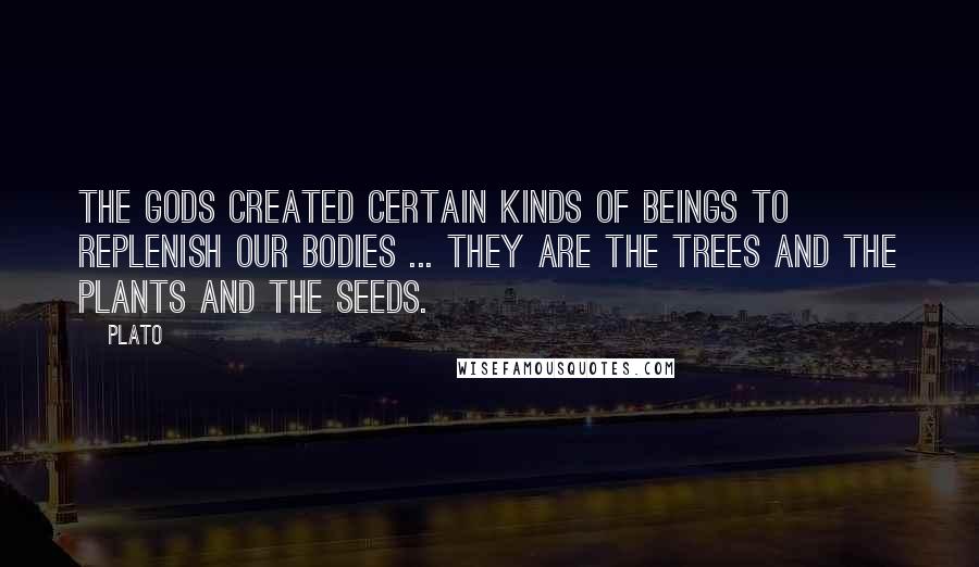 Plato Quotes: The gods created certain kinds of beings to replenish our bodies ... they are the trees and the plants and the seeds.
