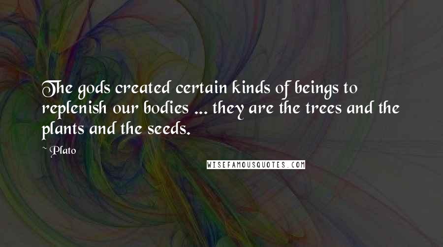 Plato Quotes: The gods created certain kinds of beings to replenish our bodies ... they are the trees and the plants and the seeds.