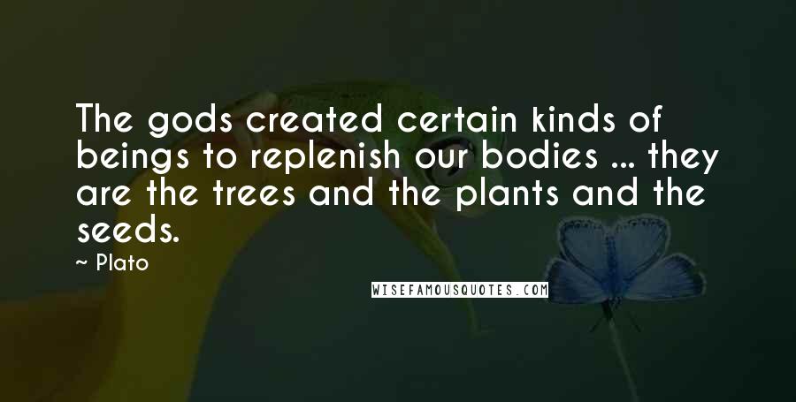 Plato Quotes: The gods created certain kinds of beings to replenish our bodies ... they are the trees and the plants and the seeds.