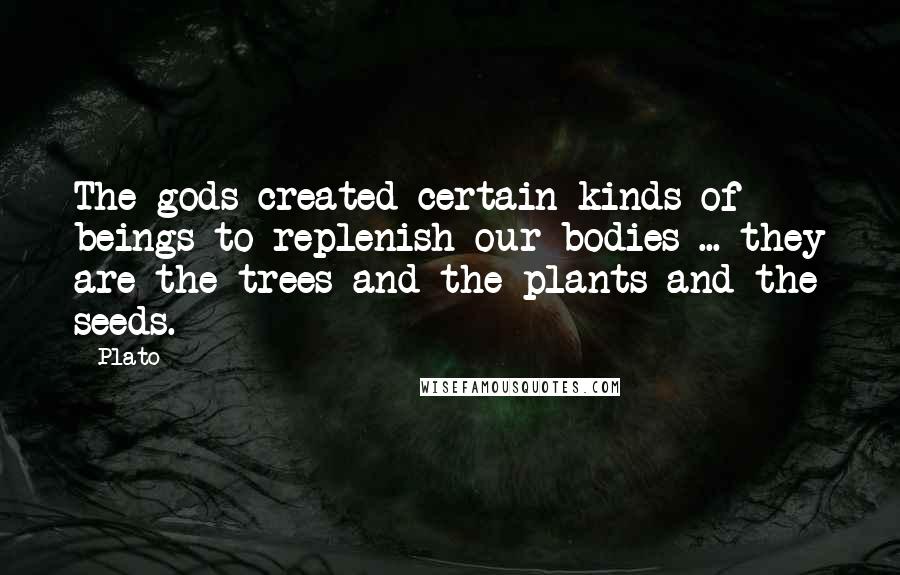 Plato Quotes: The gods created certain kinds of beings to replenish our bodies ... they are the trees and the plants and the seeds.