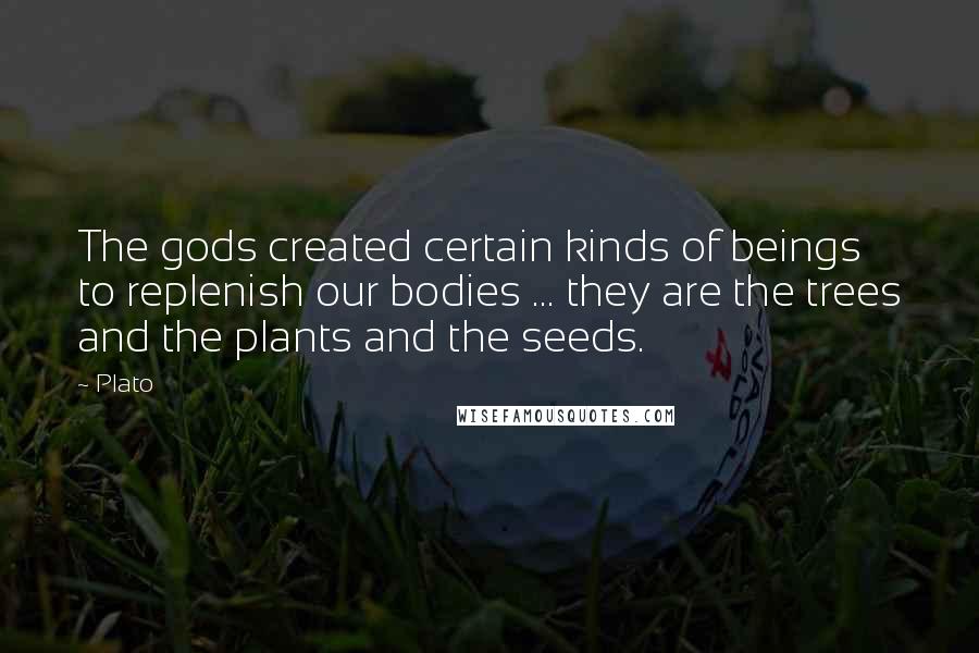 Plato Quotes: The gods created certain kinds of beings to replenish our bodies ... they are the trees and the plants and the seeds.