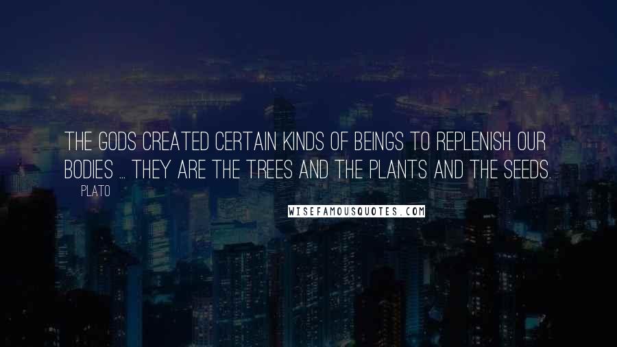 Plato Quotes: The gods created certain kinds of beings to replenish our bodies ... they are the trees and the plants and the seeds.