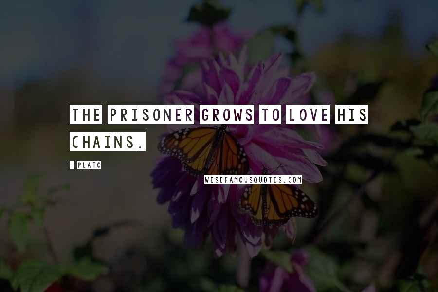 Plato Quotes: The prisoner grows to love his chains.