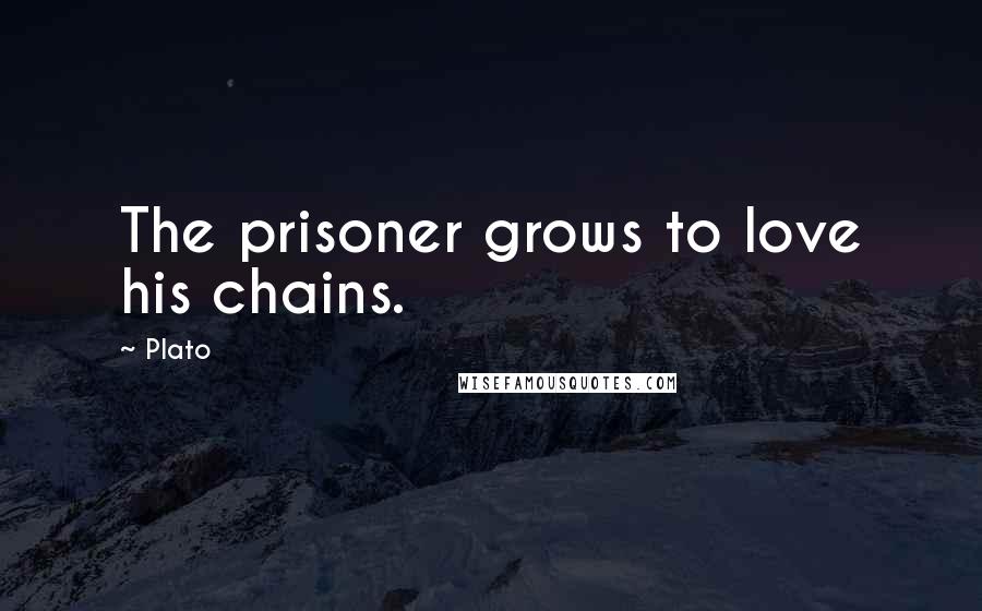 Plato Quotes: The prisoner grows to love his chains.